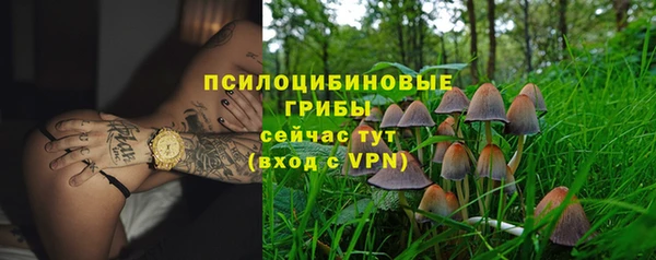 таблы Осинники