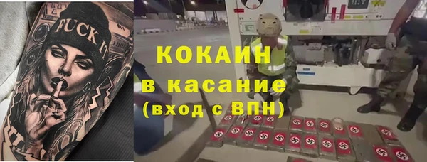 сатива Осташков
