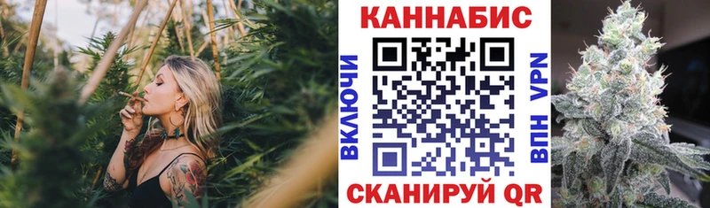 Бошки марихуана гибрид Туринск